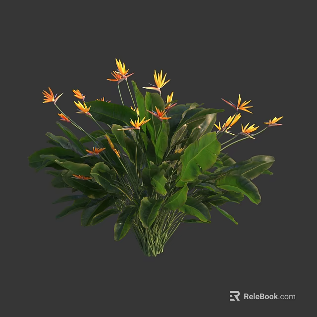 Bouquet of Tropical Flowers with Yellow Orange Blooms and Large Green Leaves 3d model 