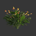 Bouquet of Tropical Flowers with Yellow Orange Blooms and Large Green Leaves