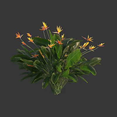 Bouquet of Tropical Flowers with Yellow Orange Blooms and Large Green Leaves 3d model