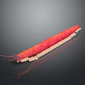 Red Long Bodied Millipede With Numerous Legs On Dark Background 3d model