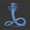 Blue Cobra with Scaled Texture and Coiled Body on Smooth Reflective Surface 3d model