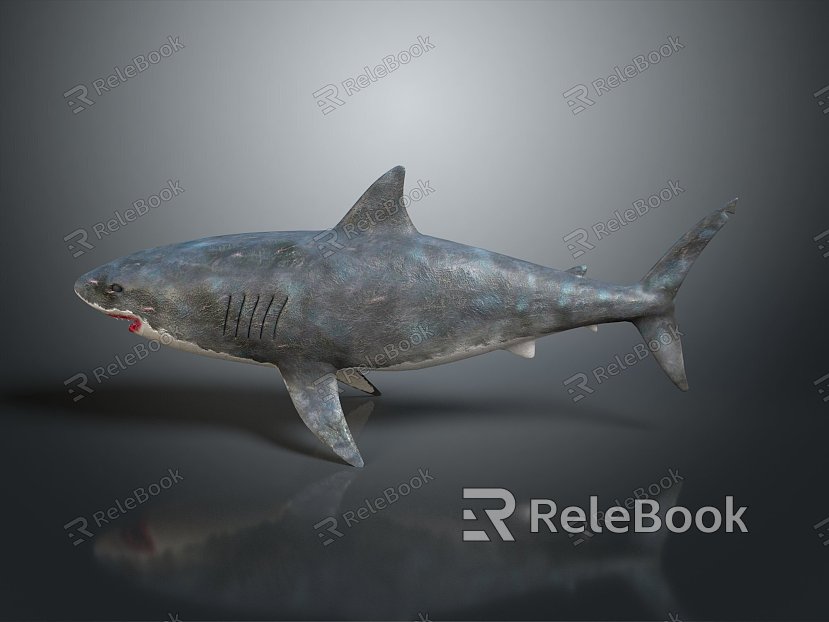 whale cartoon whale mammal marine mammal marine animal fish freshwater fish marine fish model