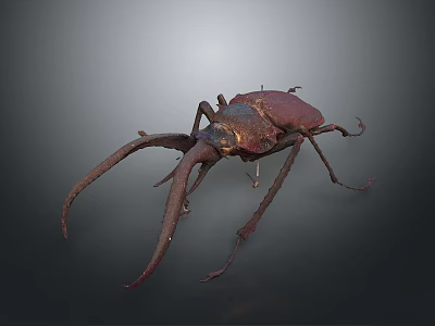 Reddish Brown Beetle With Long Antennae And Large Mandibles Against Gray Gradient Background 3d model