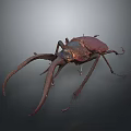 Reddish Brown Beetle With Long Antennae And Large Mandibles Against Gray Gradient Background