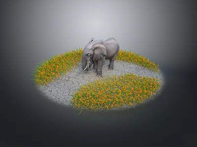 Gray Elephant Standing On Cracked Ground With Yellow Flowers In Yin Yang Shape 3d model
