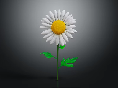 White Petal Daisy with Yellow Center Green Stem and Fresh Green Leaves 3d model