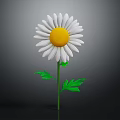 White Petal Daisy with Yellow Center Green Stem and Fresh Green Leaves