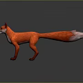 Red Fox Standing With Open Mouth Fluffy Tail And White Underbelly On Gray Background