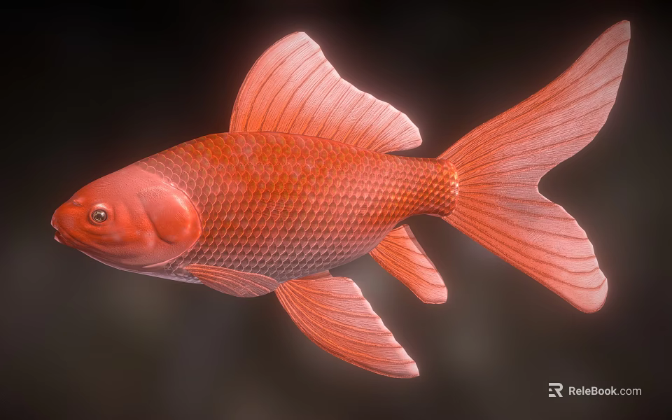 Red Goldfish with Large Fins Flowing Tail and Orange Red Body in Dark Background 3d model 