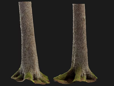 Decorative Ornament Set Featuring Natural Tree Stumps With Moss Covered Roots For Rustic Home Decor 3d model