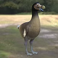 Interesting Duck Billed Reptile Standing On Green Grass With Trees In Natural Habitat