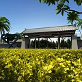 Traditional Chinese Entrance Gate In Yellow Flower Field With Palm Trees And Heart Sculpture