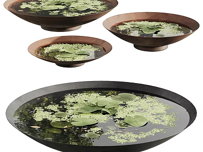 Decorative Water Bowls With Lily Pads And Duckweed In Brown Black Design 3d model