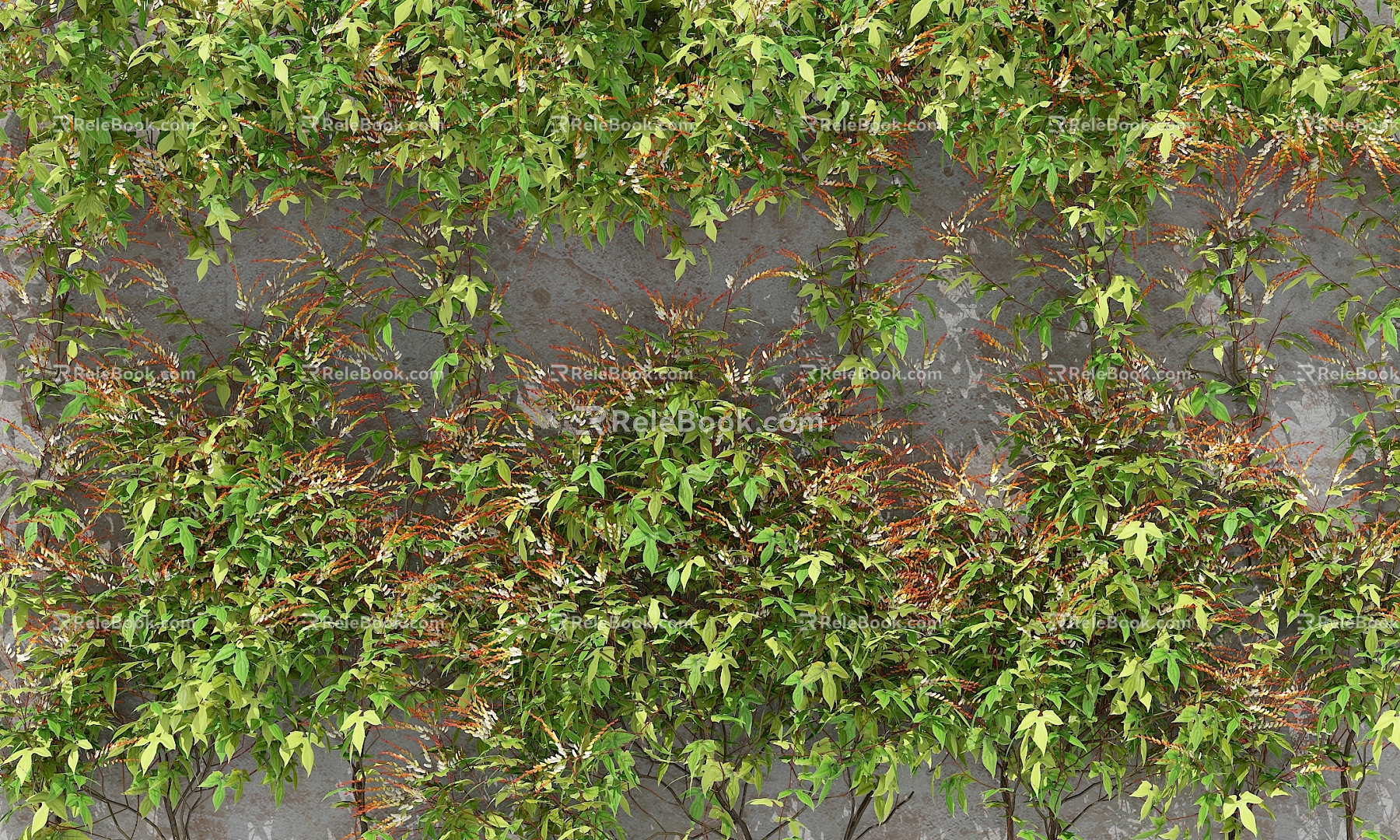 Modern Plant Wall Climbing Vines on the Wall 3d model