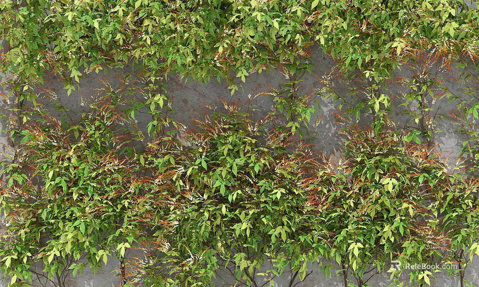 Lush Green Plant Wall with Diverse Foliage and Vibrant Leaves for Natural Decoration 3d model 