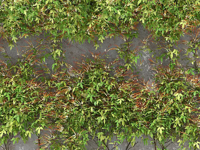 Lush Green Plant Wall with Diverse Foliage and Vibrant Leaves for Natural Decoration 3d model