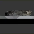 Ancient Marine Ammonite Fossil Displayed on White Platform with Detailed Spiral Shell