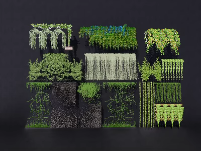 Various Hanging and Climbing Vines for Indoor Wall Greenery Decor and Design Ideas 3d model
