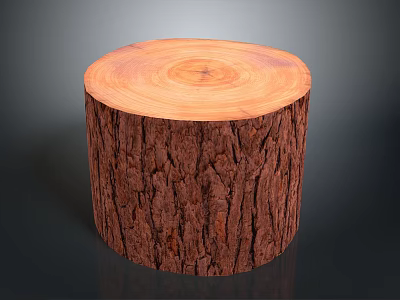 Natural Wooden Stump Decorative Piece With Tree Ring Texture And Rough Surface 3d model