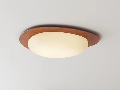Modern Middle Aged Ceiling Lamp 3d model