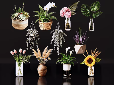 Diverse Flower Vases with Orchids Sunflowers Tulips and Succulents in Glass Ceramic and Woven Designs 3d model