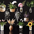 Diverse Flower Vases with Orchids Sunflowers Tulips and Succulents in Glass Ceramic and Woven Designs