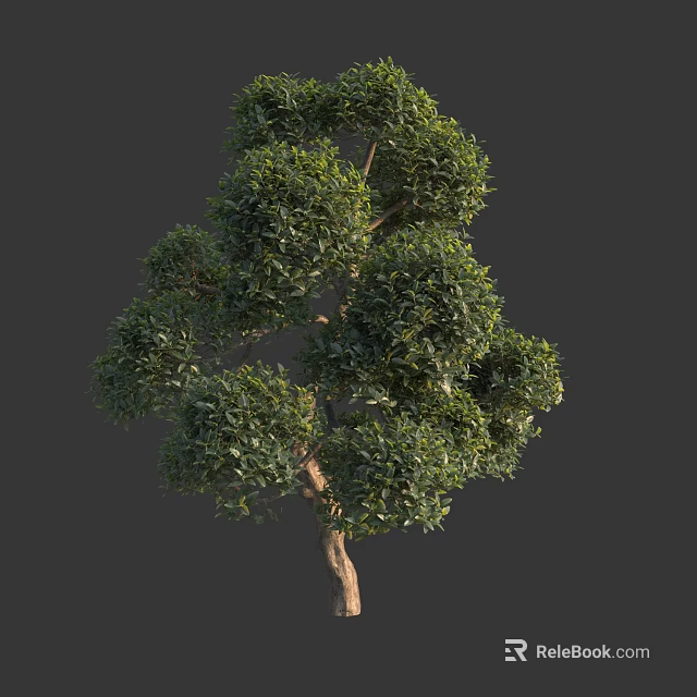 Lush Green Arbor With Dense Foliage Brown Trunk And Rounded Canopy 3d model