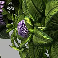 Living Plant Wall with Dense Green Foliage and Purple Flowers for Modern Interior Decorative Backdrop
