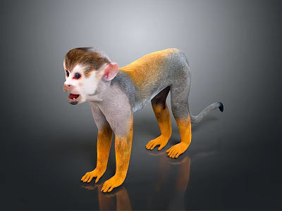 Standing Monkey With Grey And Yellow Fur On Black Background With Reflection 3d model