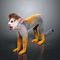 Standing Monkey With Grey And Yellow Fur On Black Background With Reflection 3d model