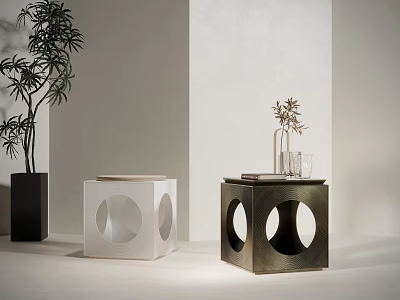 Modern Side Tables With Circular Cutouts White And Metal Finish Decorative Plants Books Vase 3d model