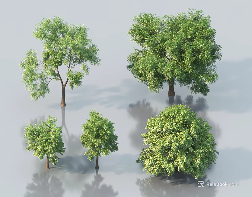 Different Types of Arbor Trees with Lush Green Foliage and Varying Heights 3d model 