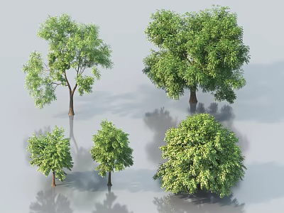 Different Types of Arbor Trees with Lush Green Foliage and Varying Heights 3d model