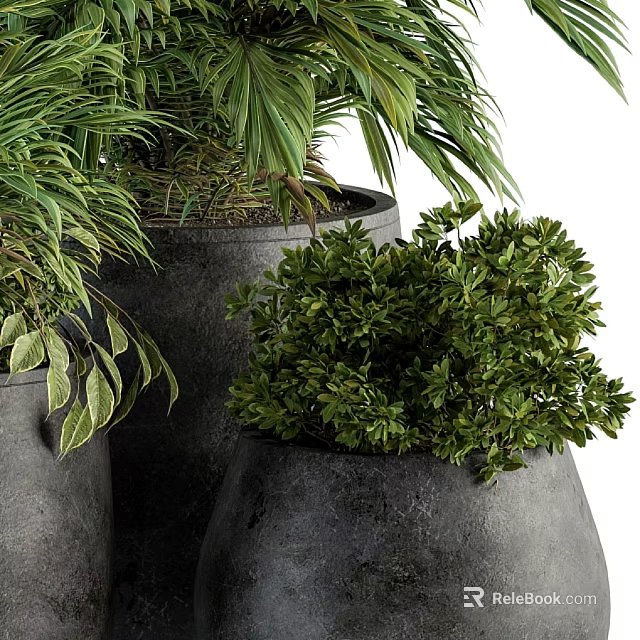 Lush Green Plants In Multiple Black Pots With Large Leaves And Bushy Foliage 3d model 