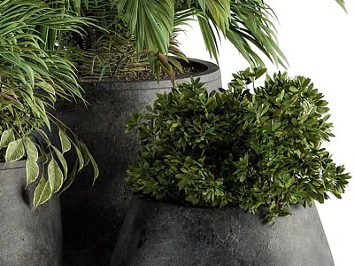 Lush Green Plants In Multiple Black Pots With Large Leaves And Bushy Foliage 3d model