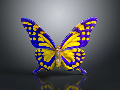 Vibrant Blue and Yellow Butterfly with Spotted Wings on Gray Background and Reflection Below 3d model
