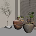 Beautiful Aquarium Setup With Tropical Fish Aquatic Plants And Decorative Stones