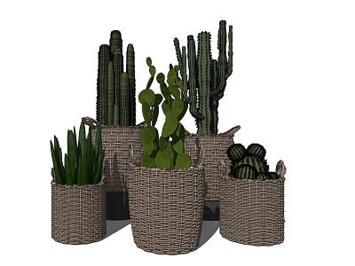 Various Cactus Bonsai Potted Plants in Wicker Baskets for Indoor Home Decor 3d model