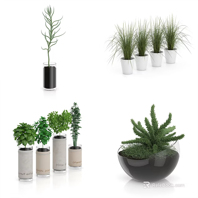 Stylish Bonsai Potted Plants In Various Shaped Pots With Green Leaves 3d model 
