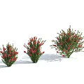 Shrubs with red flowers of different sizes against light blue sky