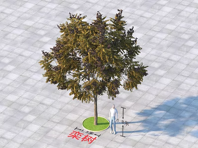 Outdoor Arbor With Circular Green Lawn And Gray Square Pavement Seating Area 3d model