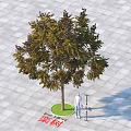 Outdoor Arbor With Circular Green Lawn And Gray Square Pavement Seating Area