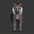 Realistic Lynx Wild Cat 3D Model With Detailed Fur Texture And Spotted Coat