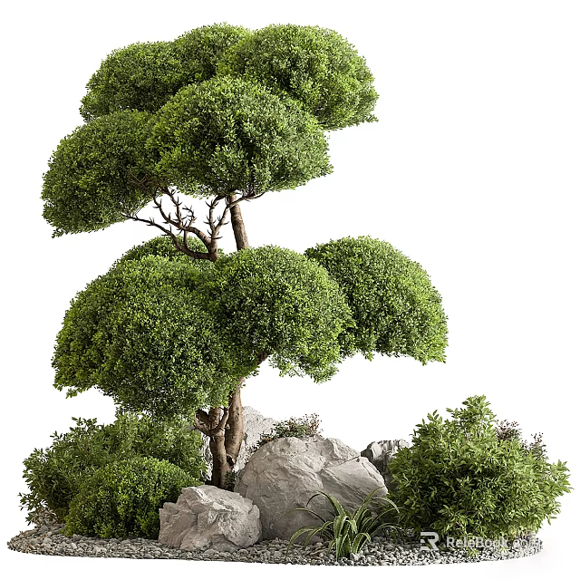 Beautiful Artistic Bonsai Plant with Lush Green Canopy Strong Trunk and Stones 3d model 