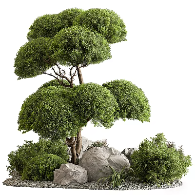 Beautiful Artistic Bonsai Plant with Lush Green Canopy Strong Trunk and Stones 3d model