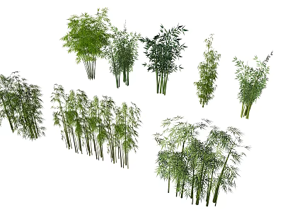 Various Bamboo Plants with Lush Green Leaves for Natural Garden Decoration 3d model