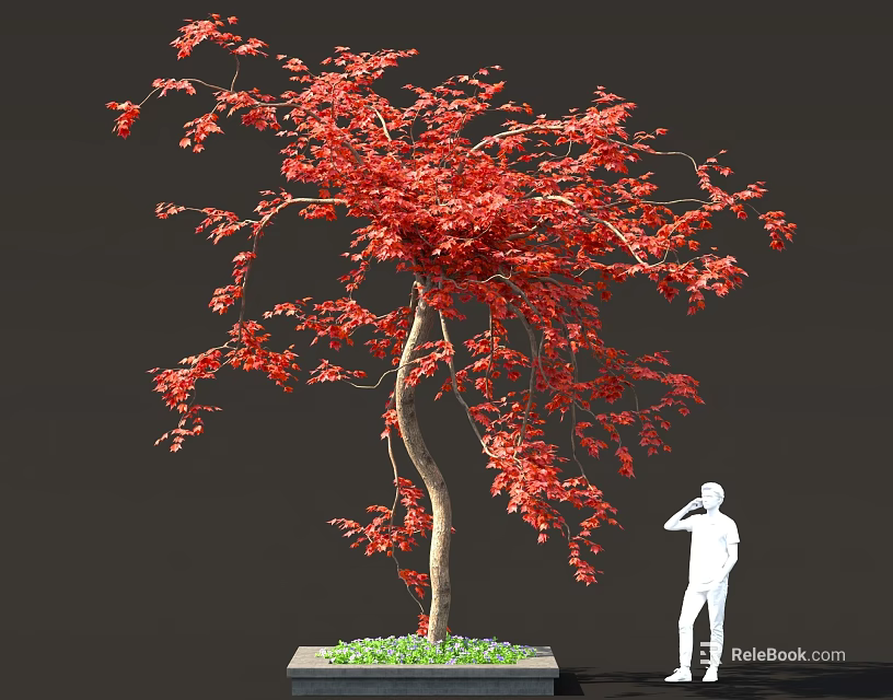 Vibrant Red Leaved Tree With Square Planter Base And Green Grass Near White Silhouette Figure 3d model 