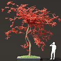 Vibrant Red Leaved Tree With Square Planter Base And Green Grass Near White Silhouette Figure