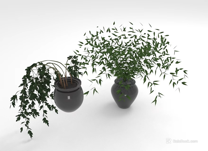 Indoor Decorative Plants In Black Vases With Hanging And Lush Green Leaves 3d model 