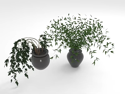 Indoor Decorative Plants In Black Vases With Hanging And Lush Green Leaves 3d model